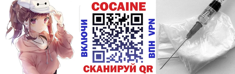 КОКАИН Fish Scale  Купить закладки  Нижнеудинск 