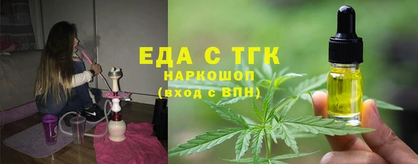 хмурый Инта
