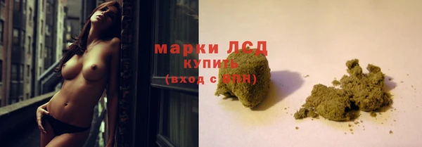 хмурый Инта