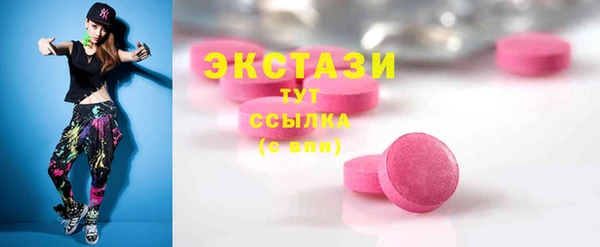 хмурый Инта