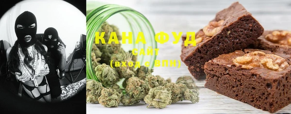 хмурый Инта