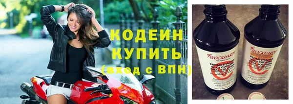 хмурый Инта