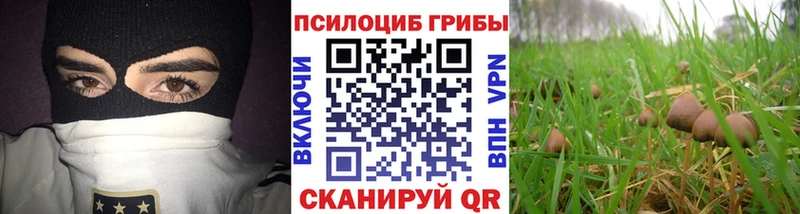 Псилоцибиновые грибы MAGIC MUSHROOMS  Купить  Нижнеудинск 